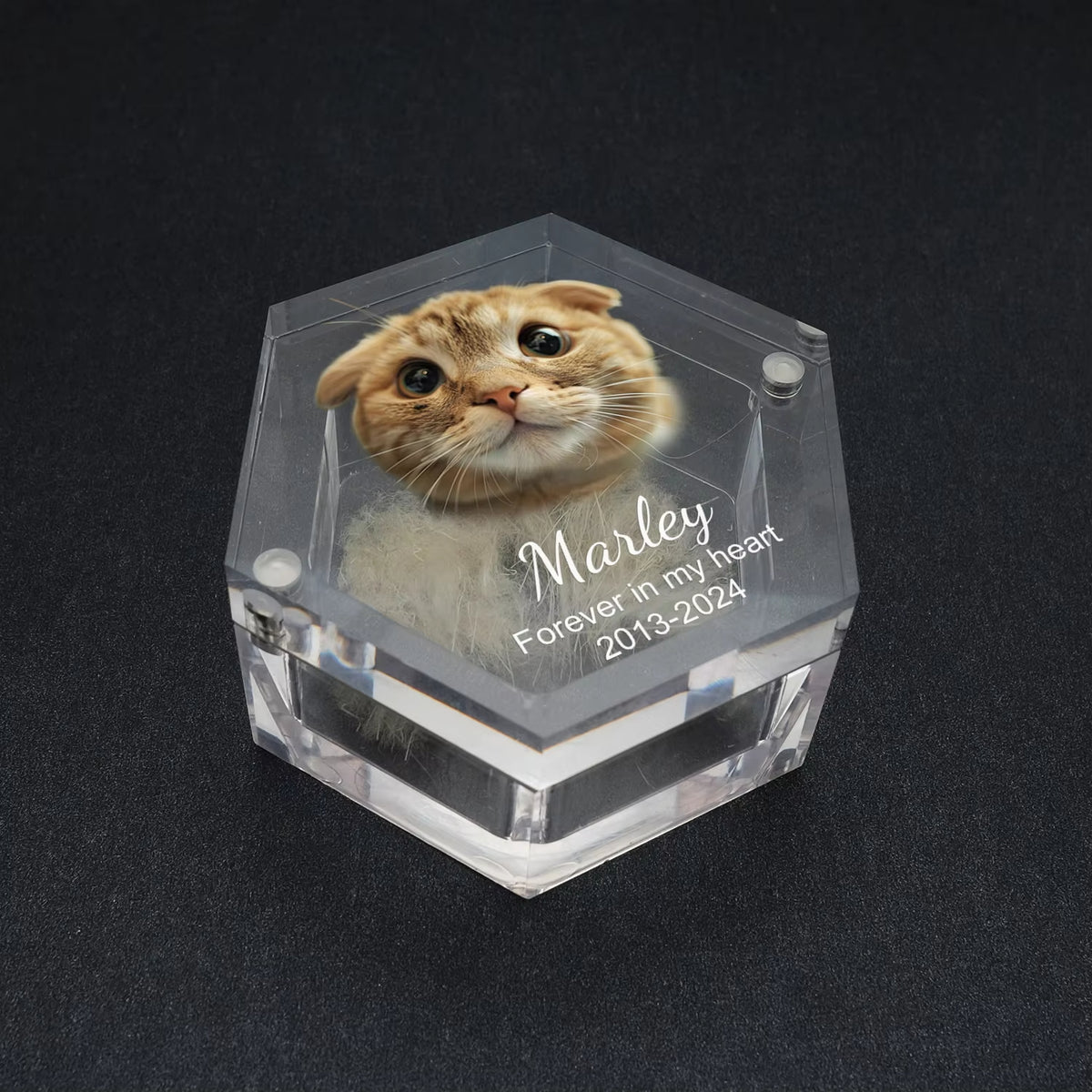 Personalized Keepsake Box with Photo Customized Pet Hair Box