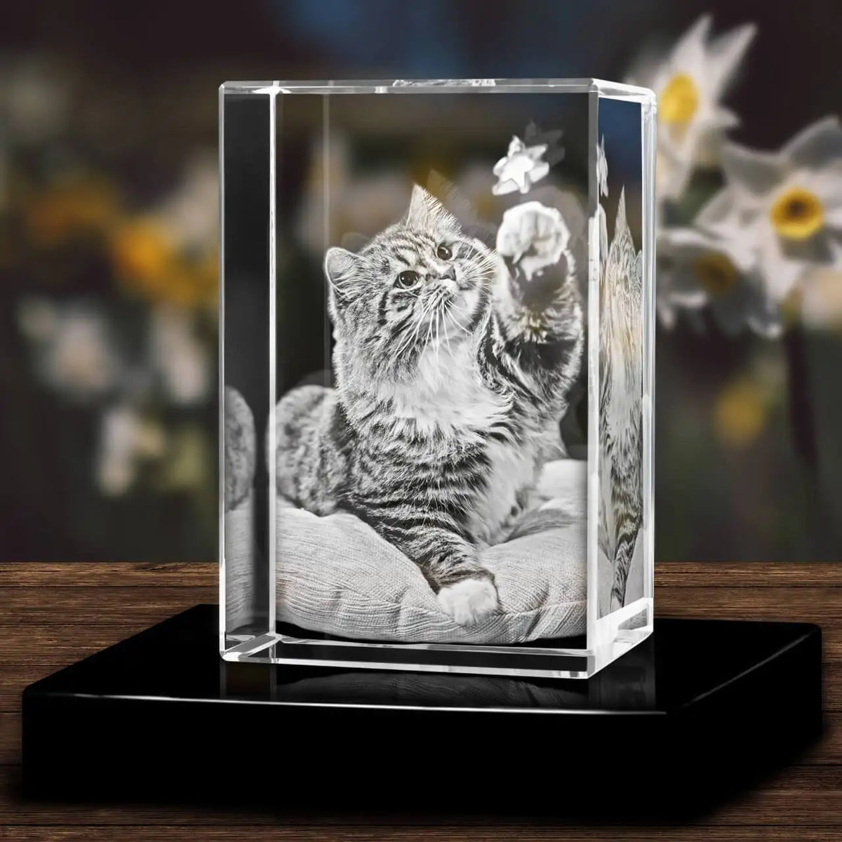 Personalized Sympathy Tribute Custom Gift for Loss of Beloved Pet with Crystal Decor