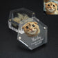 Personalized Keepsake Box with Photo Customized Pet Hair Box