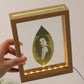 7 inch Birthday Gift Leaf Carving Custom Photo Leaf Carving Gift Luminous Photo Frame with Lights