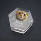 Personalized Keepsake Box with Photo Customized Pet Hair Box