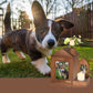 Pet Urns with Photo Frame Funeral Cremation Small Box Urn Loving Memory Pet Picture Frame