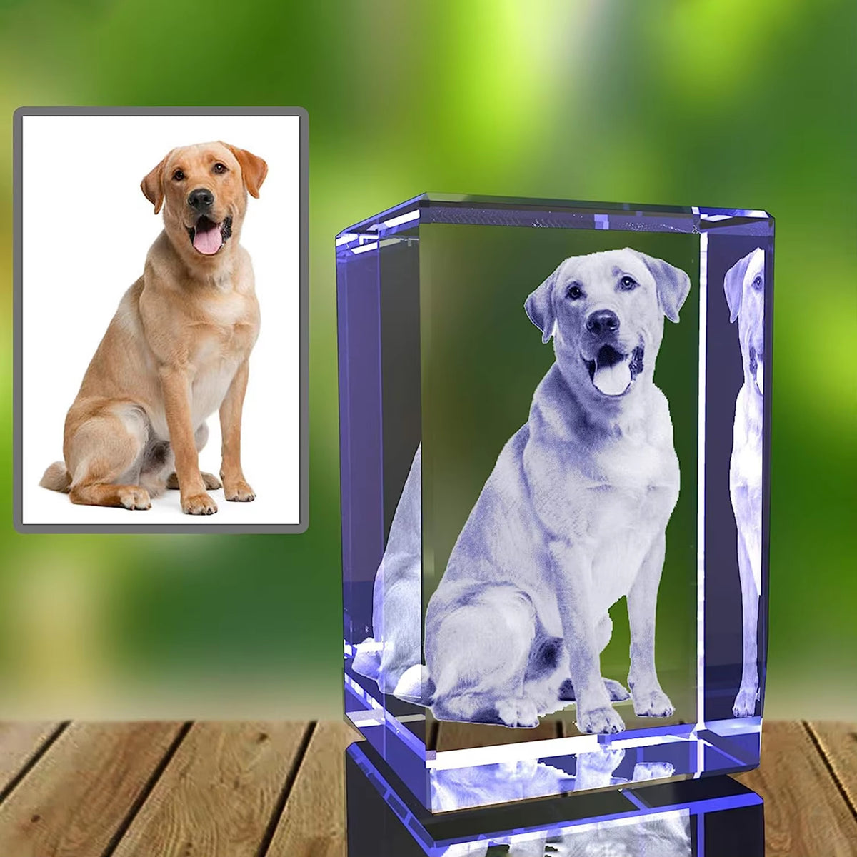 Personalized Sympathy Tribute Custom Gift for Loss of Beloved Pet with Crystal Decor
