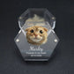 Personalized Keepsake Box with Photo Customized Pet Hair Box