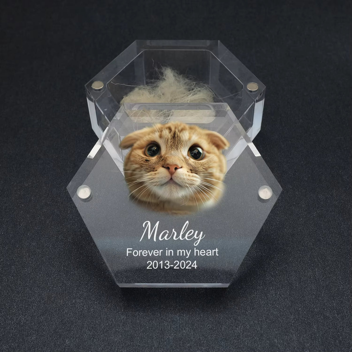 Personalized Keepsake Box with Photo Customized Pet Hair Box