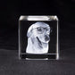 Personalized Sympathy Tribute Custom Gift for Loss of Beloved Pet with Crystal Decor