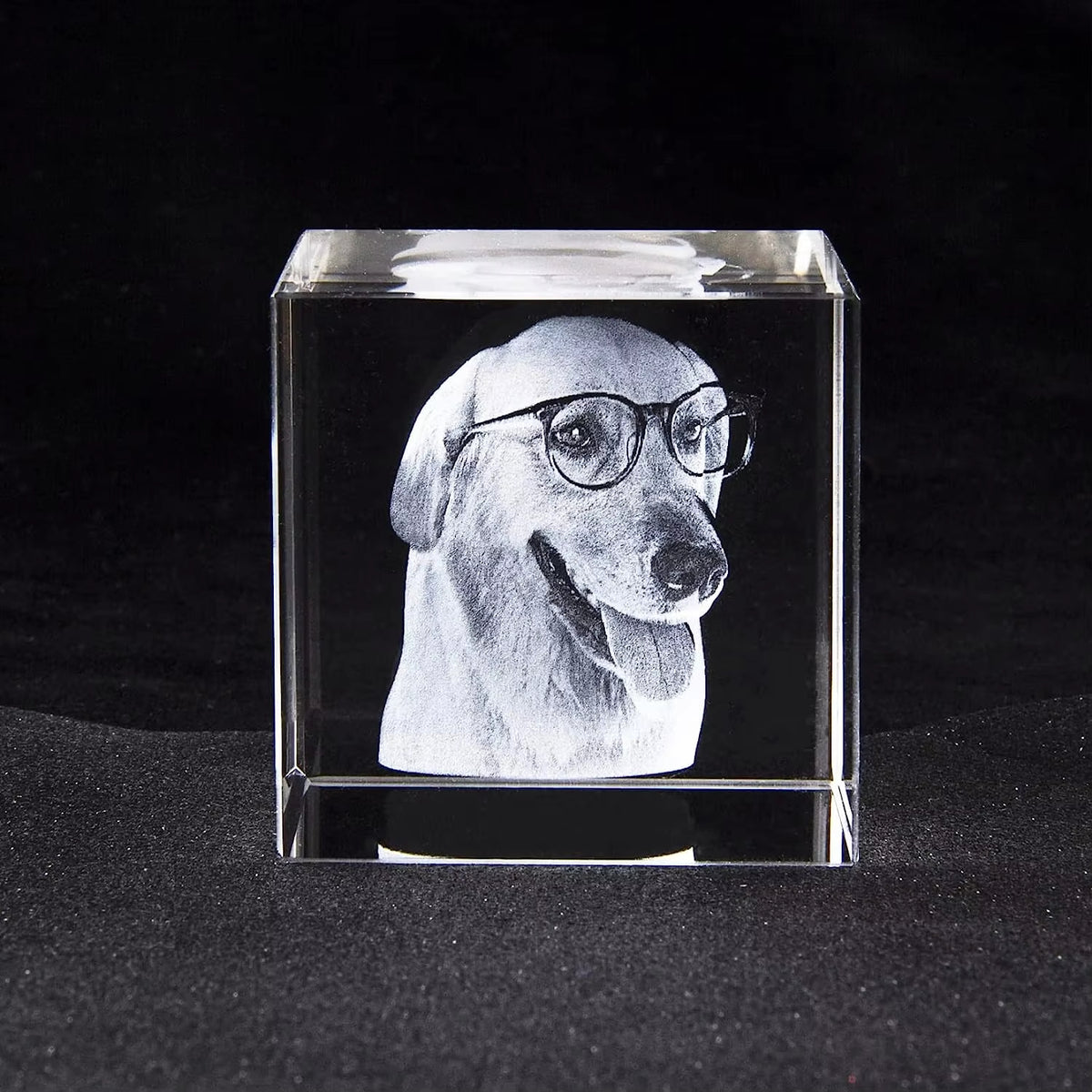 Personalized Sympathy Tribute Custom Gift for Loss of Beloved Pet with Crystal Decor