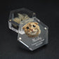 Personalized Keepsake Box with Photo Customized Pet Hair Box