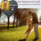 Personalized Pet Memorial Stone with Photo Printing