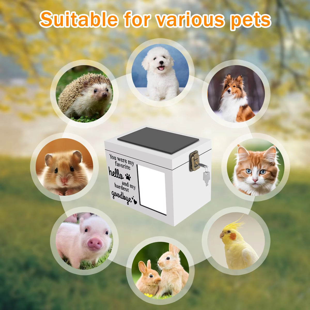 Personalized Pet Keepsake Memory Box for Dog or Cat Ashes