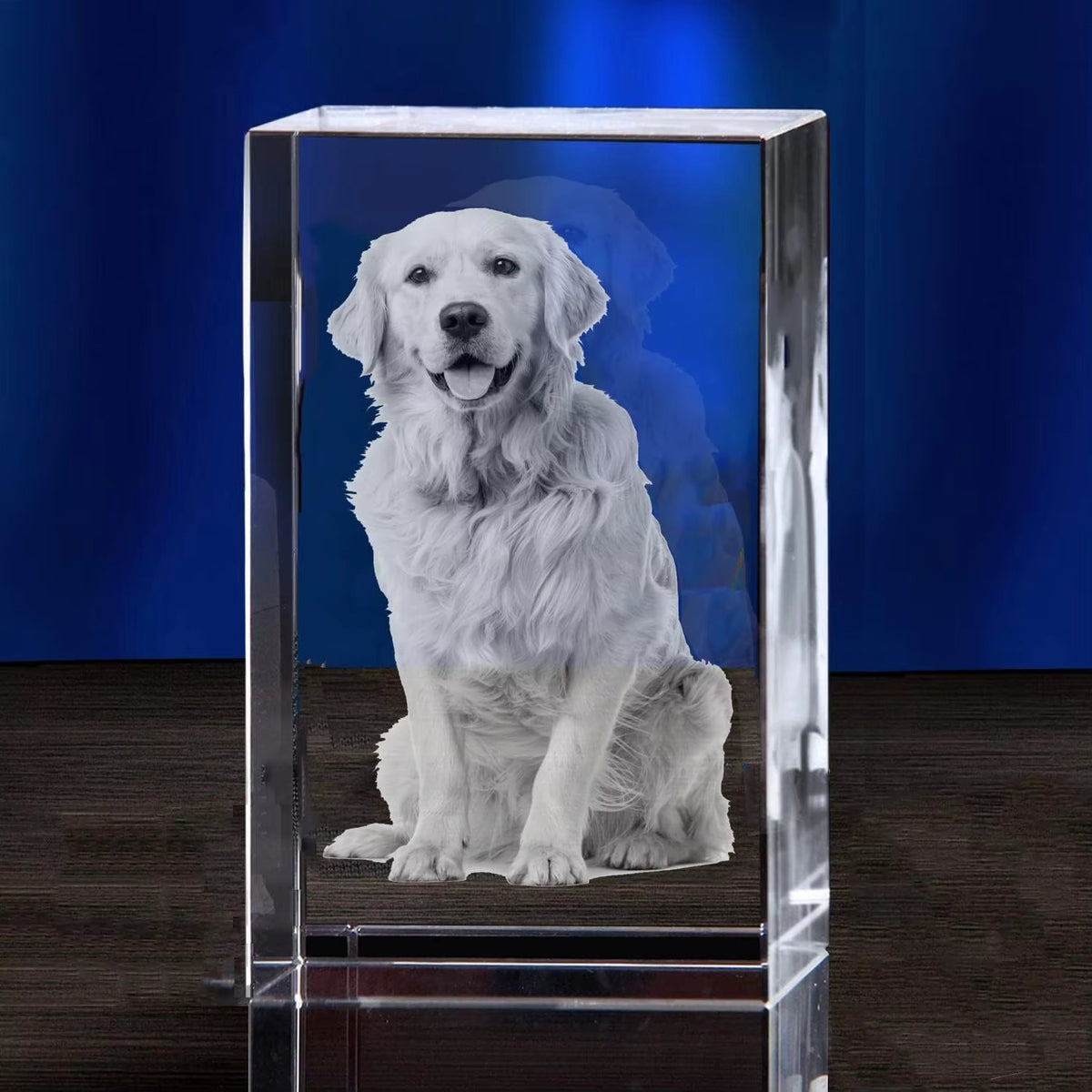Personalized Sympathy Tribute Custom Gift for Loss of Beloved Pet with Crystal Decor