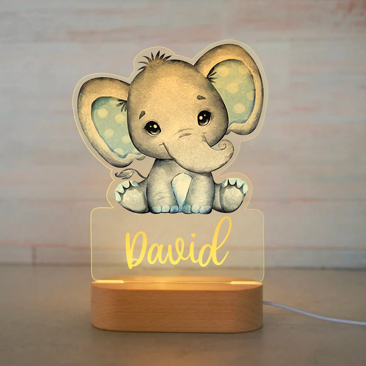 Personalized USB NightLight Custom Name Acrylic Lamp Animal Design