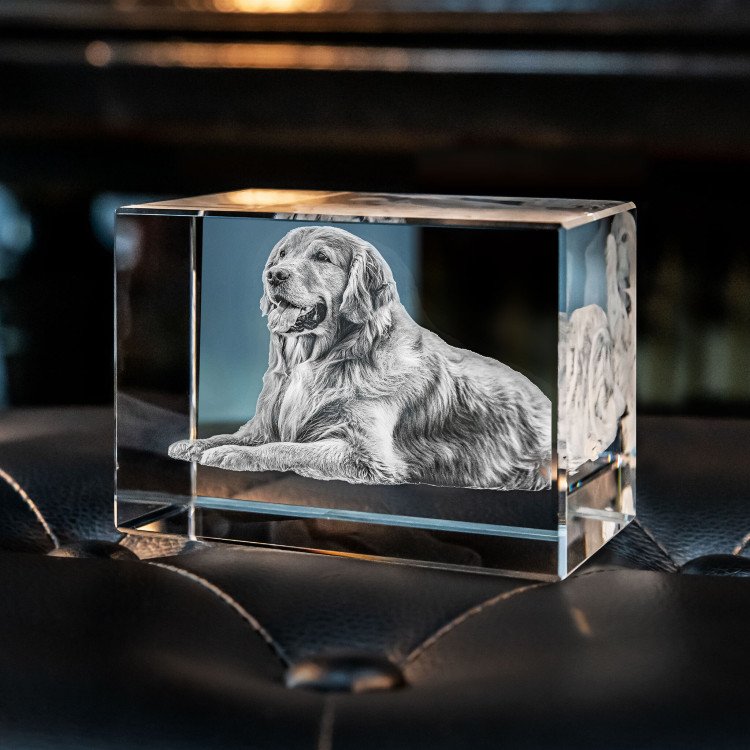 Personalized Sympathy Tribute Custom Gift for Loss of Beloved Pet with Crystal Decor