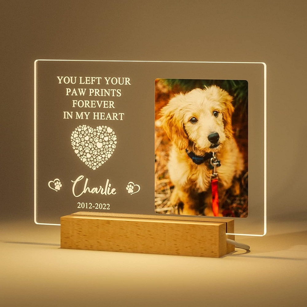 Customized Dog Cat Memorial Photo Frame Pet Sympathy Gifts LED Night Light