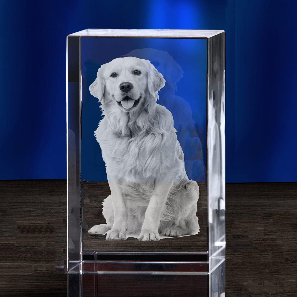 Personalized Sympathy Tribute Custom Gift for Loss of Beloved Pet with Crystal Decor
