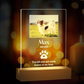 Customized Dog Cat Memorial Photo Frame Pet Sympathy Gifts LED Night Light