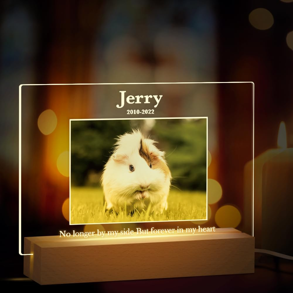 Customized Dog Cat Memorial Photo Frame Pet Sympathy Gifts LED Night Light