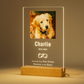 Customized Dog Cat Memorial Photo Frame Pet Sympathy Gifts LED Night Light
