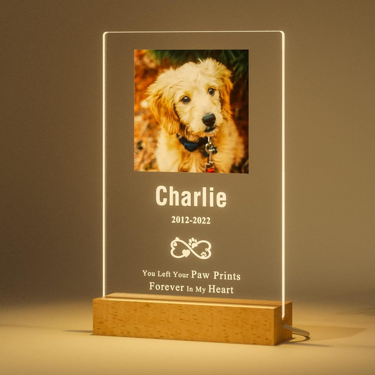 Customized Dog Cat Memorial Photo Frame Pet Sympathy Gifts LED Night Light