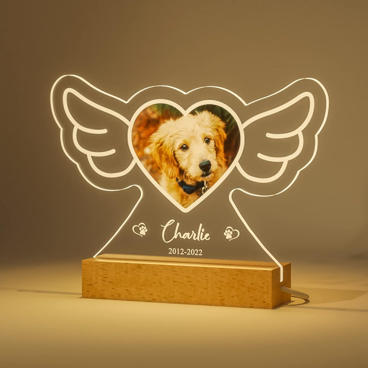 Customized Dog Cat Memorial Photo Frame Pet Sympathy Gifts LED Night Light