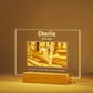 Customized Dog Cat Memorial Photo Frame Pet Sympathy Gifts LED Night Light