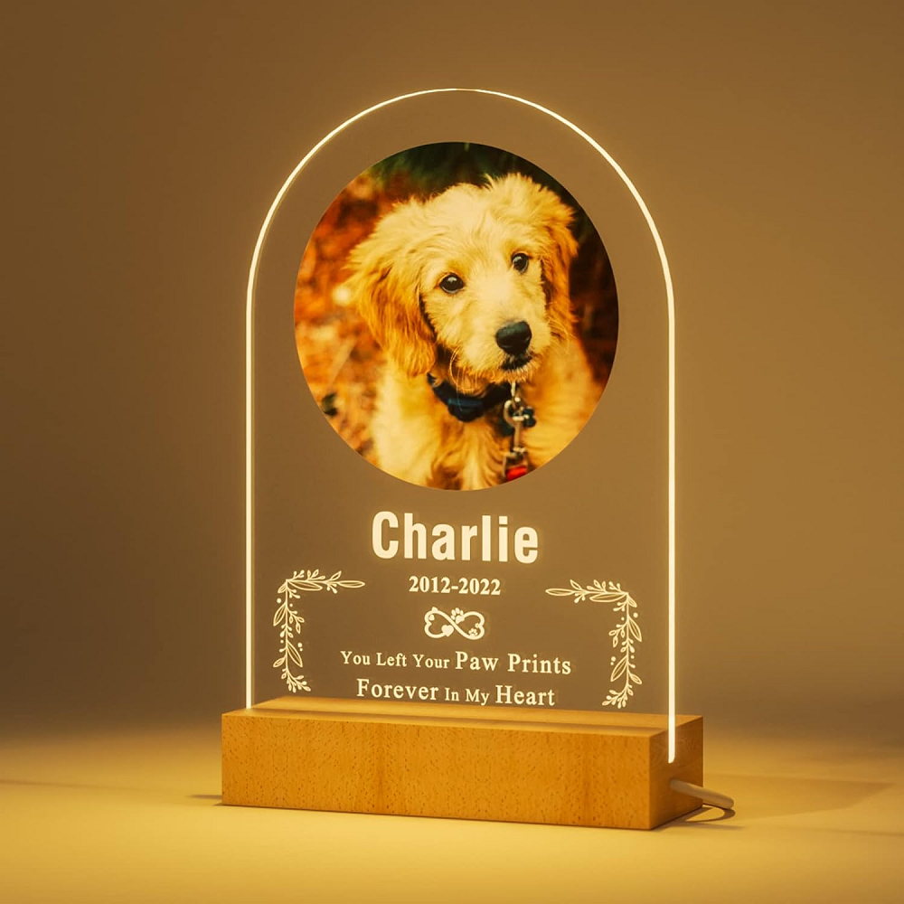 Customized Dog Cat Memorial Photo Frame Pet Sympathy Gifts LED Night Light