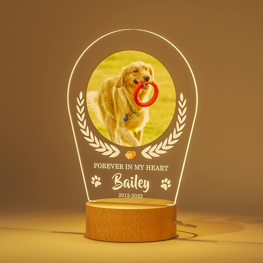 Customized Dog Cat Memorial Photo Frame Pet Sympathy Gifts LED Night Light