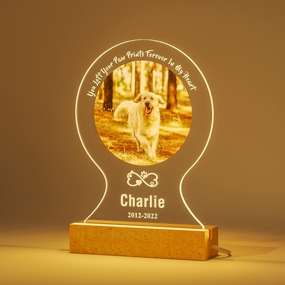Customized Dog Cat Memorial Photo Frame Pet Sympathy Gifts LED Night Light